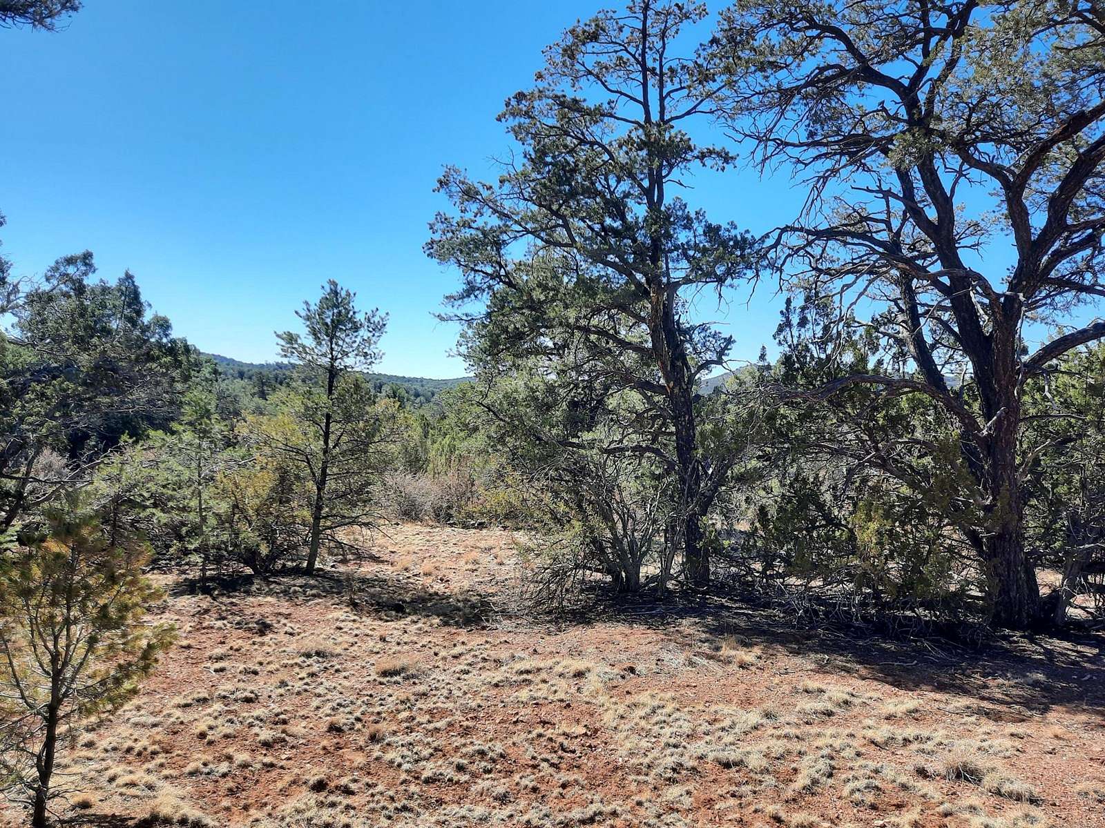 1 Acre of Land for Sale in Seligman, Arizona