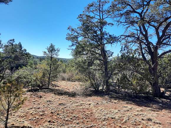 1 Acre of Land for Sale in Seligman, Arizona