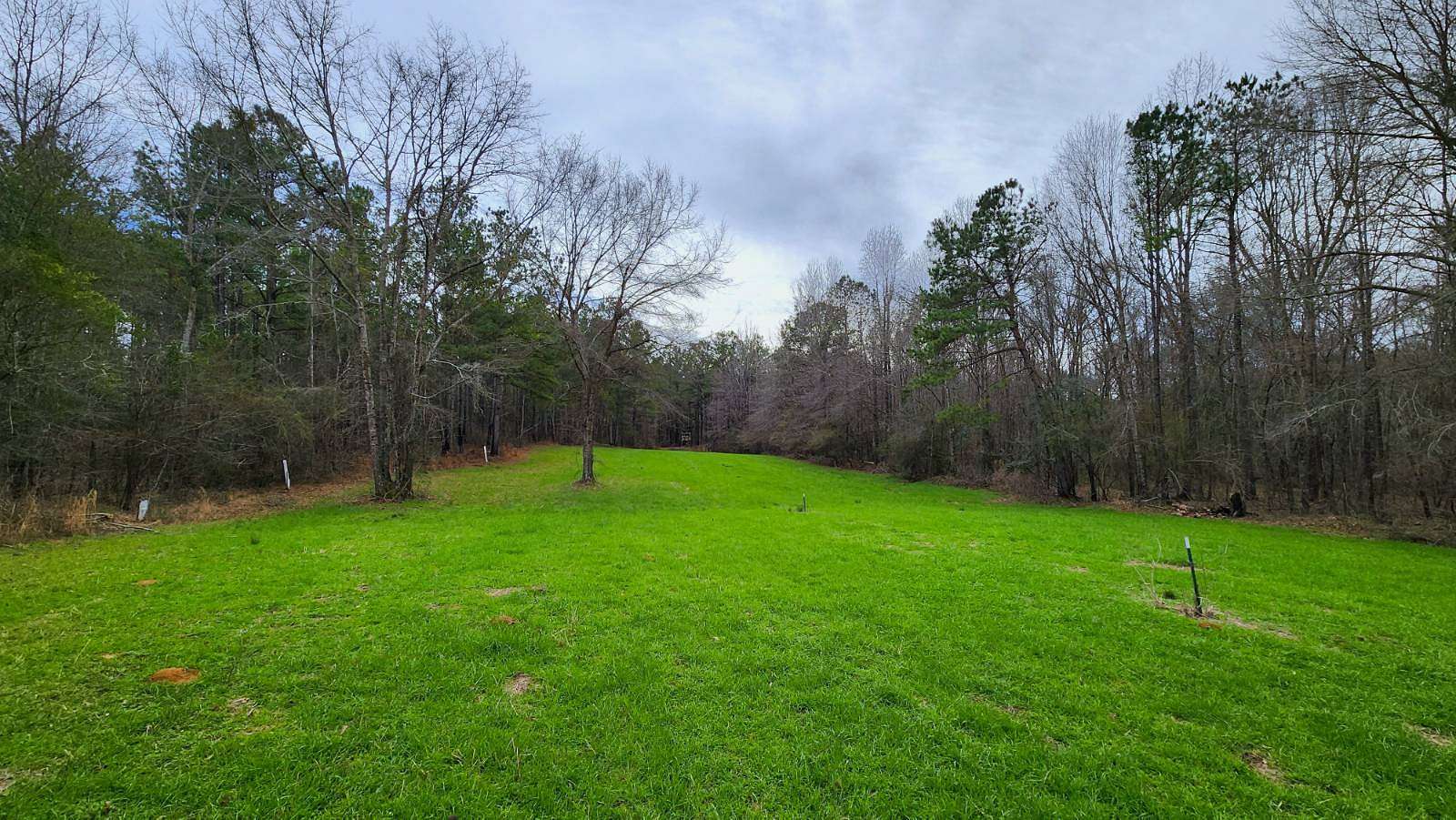 128 Acres of Recreational Land for Sale in Tuskegee, Alabama