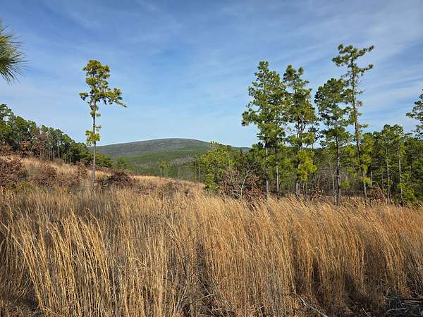 18.3 Acres of Land for Sale in Heavener, Oklahoma