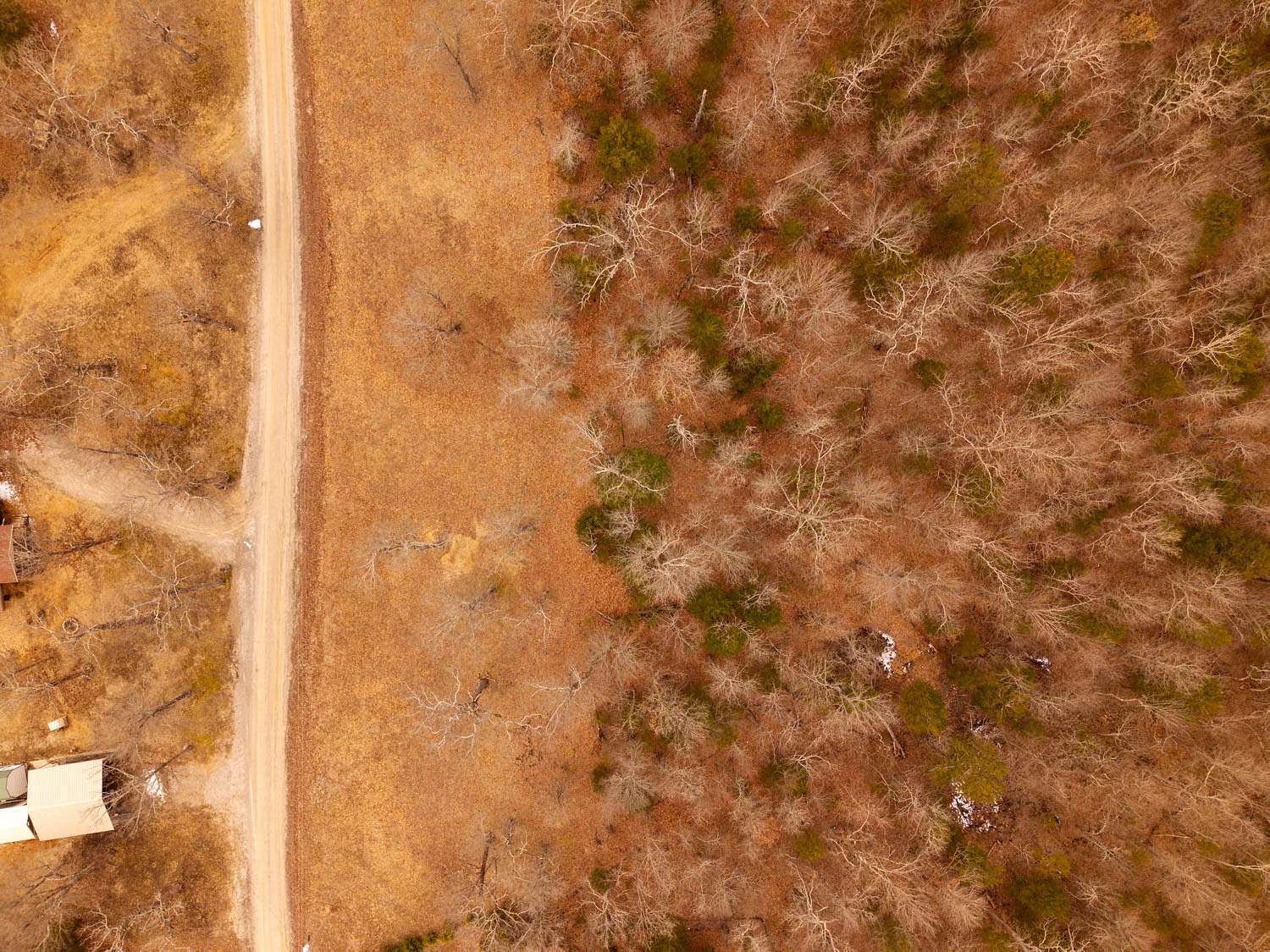 5 Acres of Land for Sale in Gepp, Arkansas