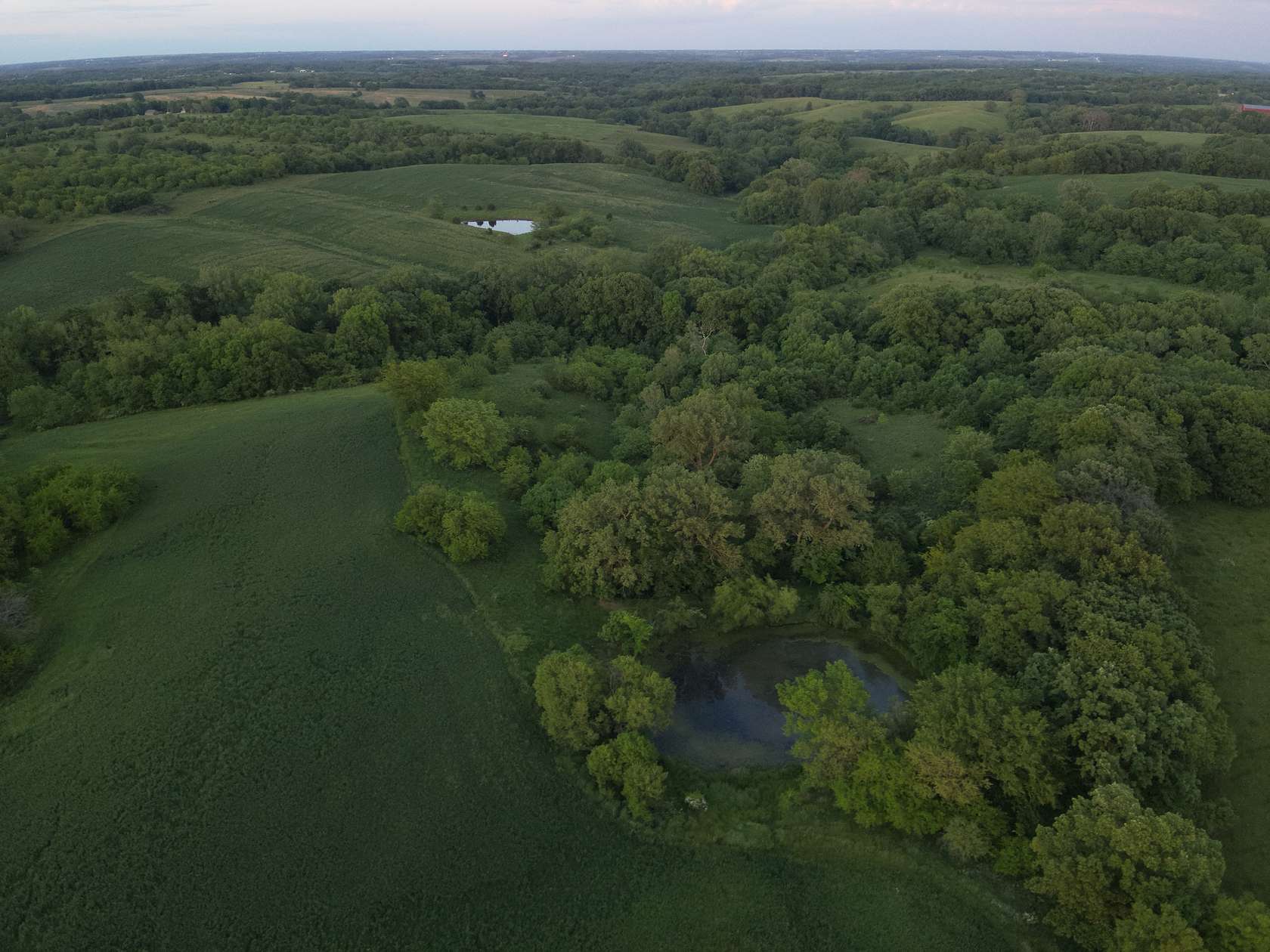 125 Acres of Recreational Land & Farm for Sale in Exline, Iowa
