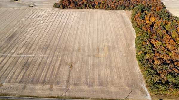 25 Acres of Agricultural Land for Sale in Clay City, Illinois
