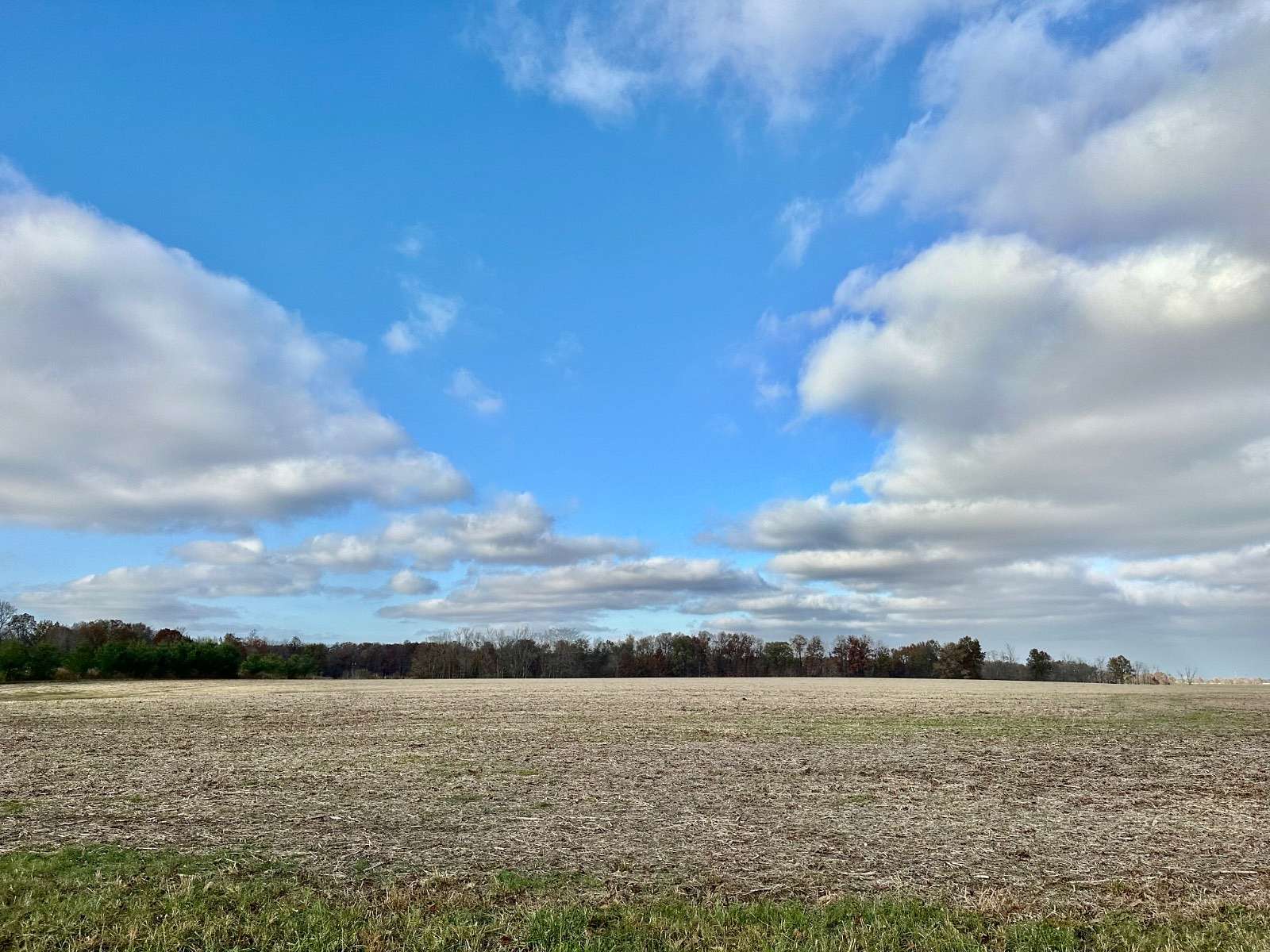 30 Acres of Agricultural Land for Sale in Clay City, Illinois