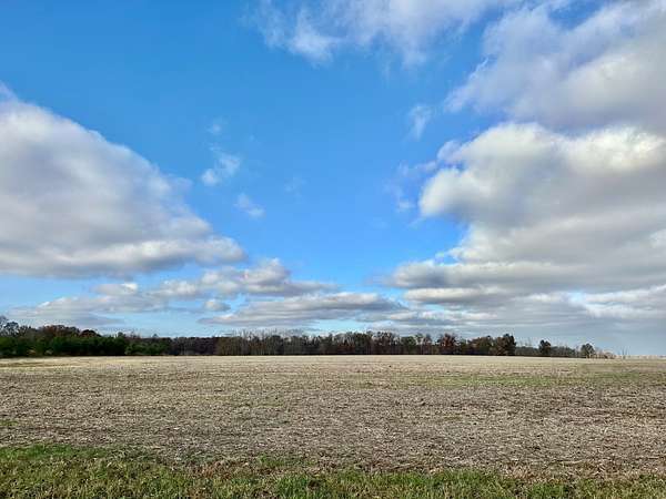 30 Acres of Agricultural Land for Sale in Clay City, Illinois