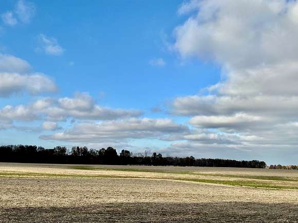 20 Acres of Agricultural Land for Sale in Clay City, Illinois - LandSearch