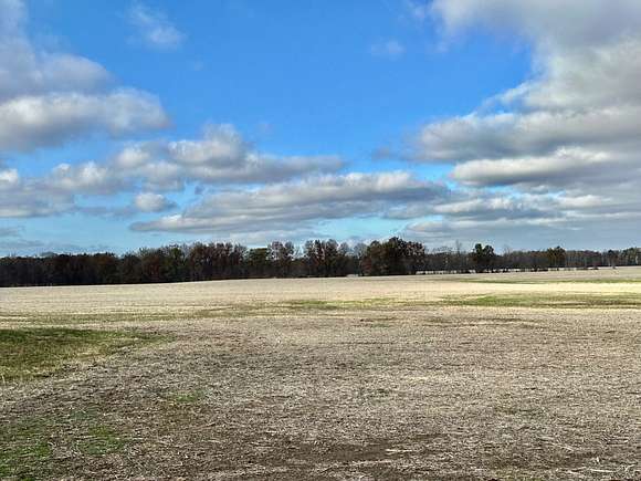 20 Acres of Agricultural Land for Sale in Clay City, Illinois - LandSearch