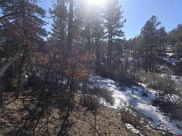 1.48 Acres of Residential Land for Sale in Pagosa Springs, Colorado