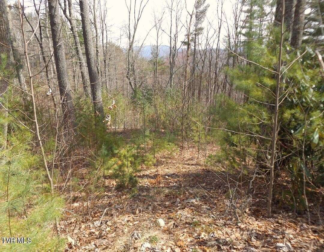 1.76 Acres of Residential Land for Sale in Butler, Tennessee