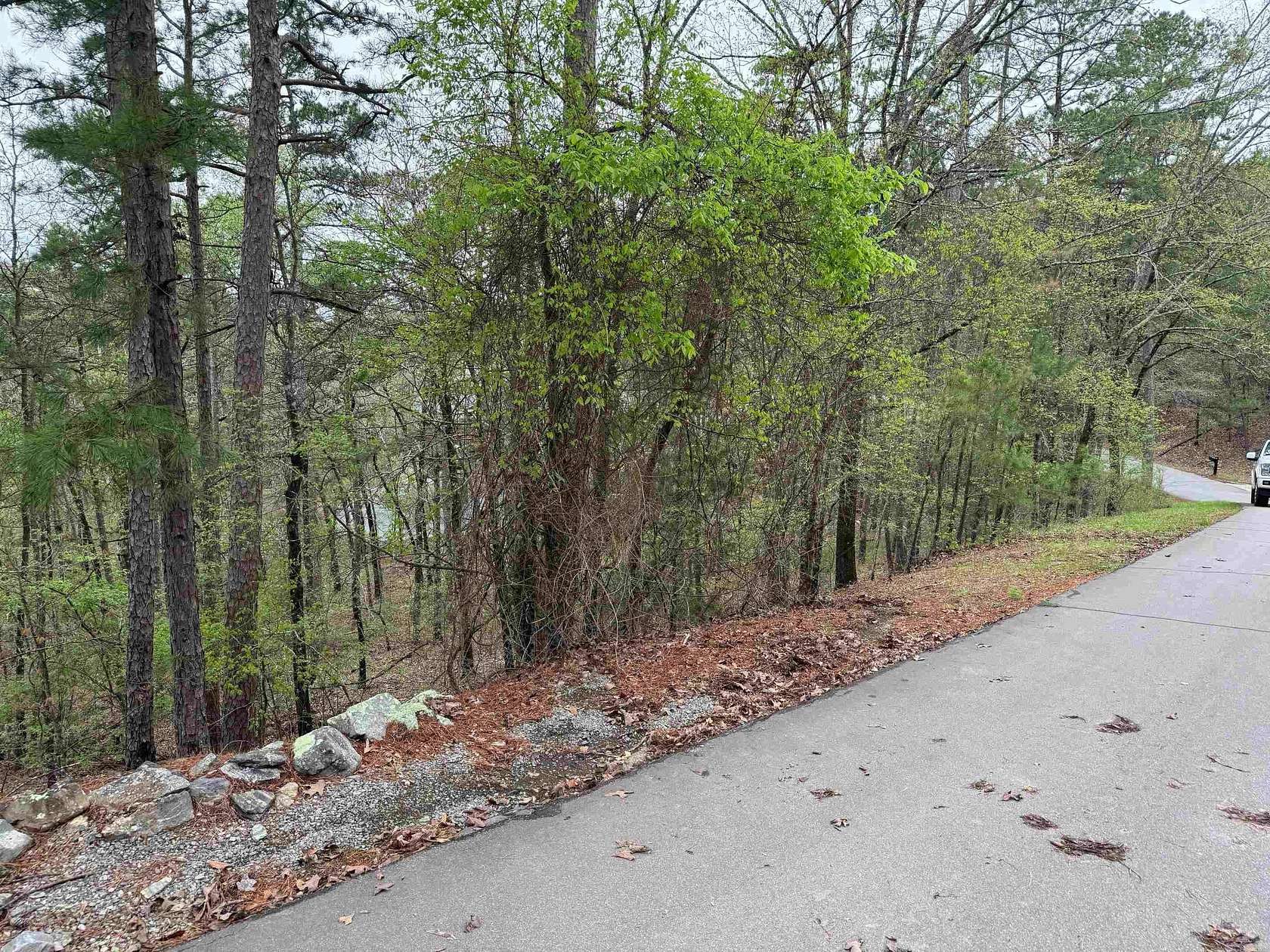 0.25 Acres of Residential Land for Sale in Hot Springs Village, Arkansas