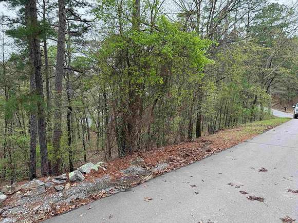 0.25 Acres of Residential Land for Sale in Hot Springs Village, Arkansas