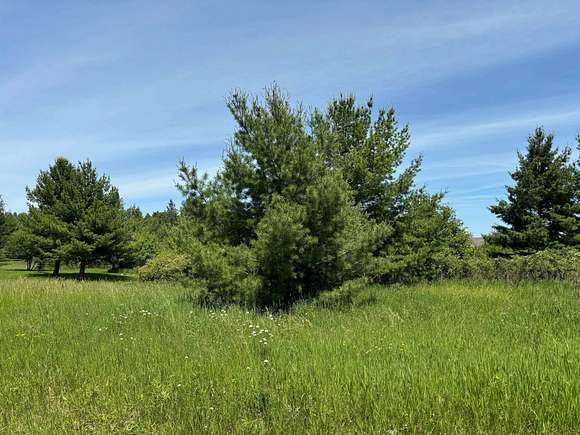 0.38 Acres of Residential Land for Sale in Gladwin, Michigan - LandSearch