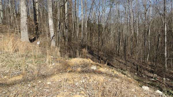 2.5 Acres of Residential Land for Sale in Hilham, Tennessee