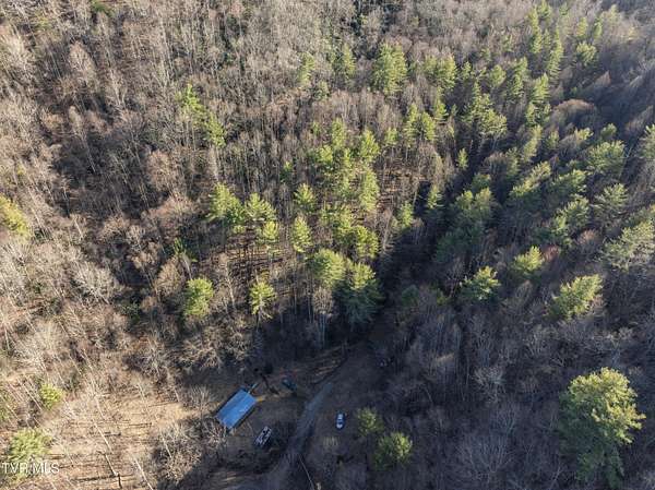 35 Acres of Land for Sale in Butler, Tennessee