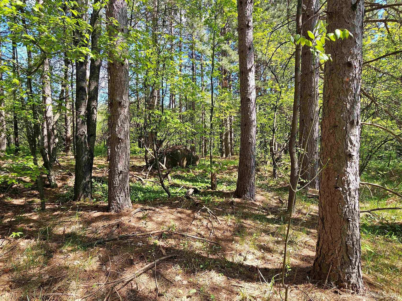 0.69 Acres of Residential Land for Sale in Bessemer, Michigan