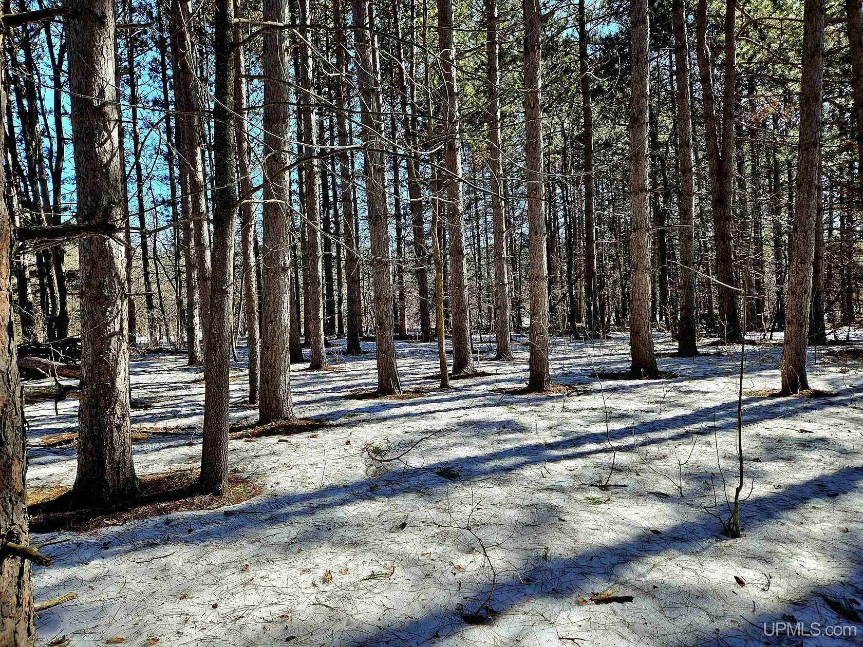 0.69 Acres of Residential Land for Sale in Bessemer, Michigan
