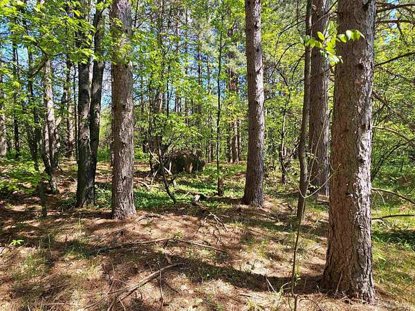 0.69 Acres of Residential Land for Sale in Bessemer, Michigan