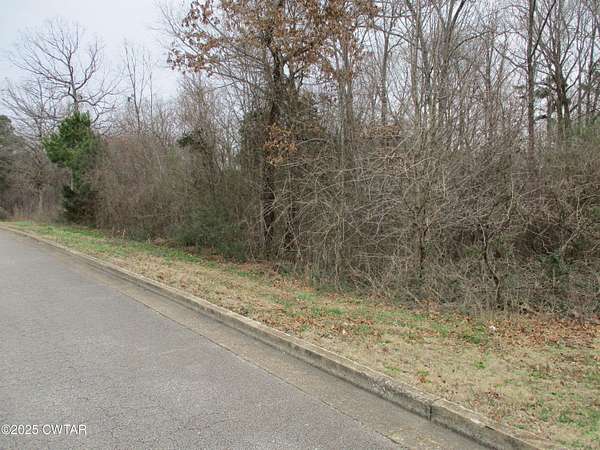 0.41 Acres of Residential Land for Sale in Lexington, Tennessee