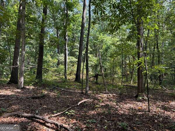 10.5 Acres of Land for Sale in Canton, Georgia