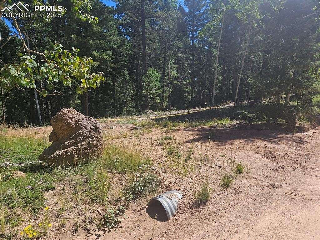 1.55 Acres of Residential Land for Sale in Florissant, Colorado