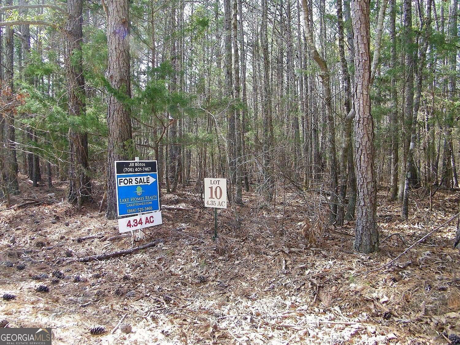 4.35 Acres of Land for Sale in Elberton, Georgia