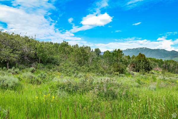 4.5 Acres of Recreational Land for Sale in Inkom, Idaho