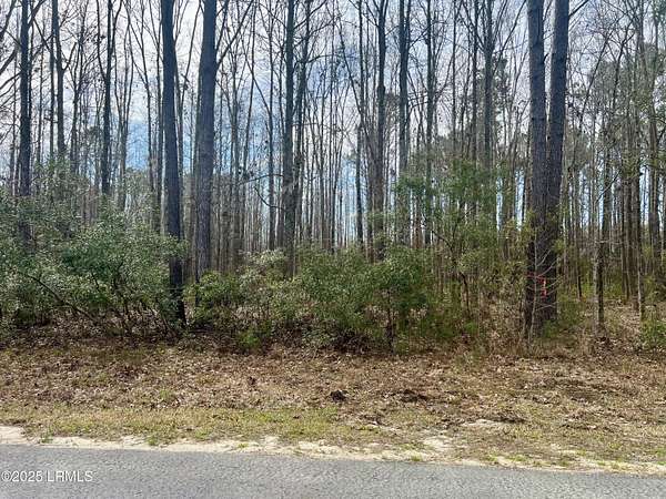 0.45 Acres of Residential Land for Sale in Yemassee, South Carolina