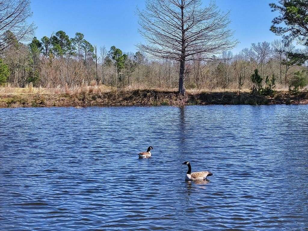 26.7 Acres of Recreational Land for Sale in Ben Wheeler, Texas