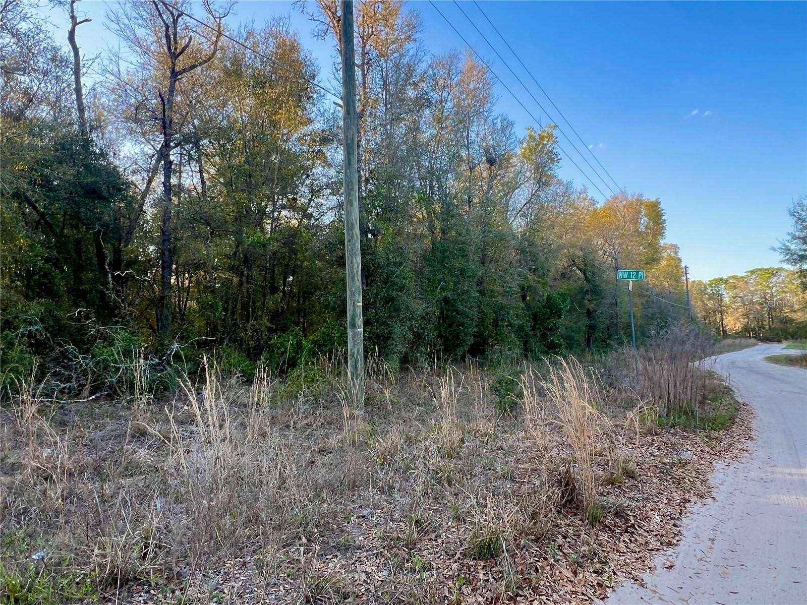 0.17 Acres of Residential Land for Sale in Ocala, Florida