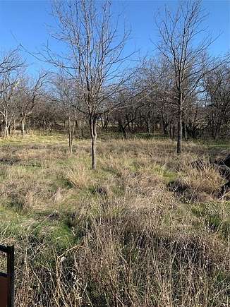 0.45 Acres of Land for Sale in Bridgeport, Texas