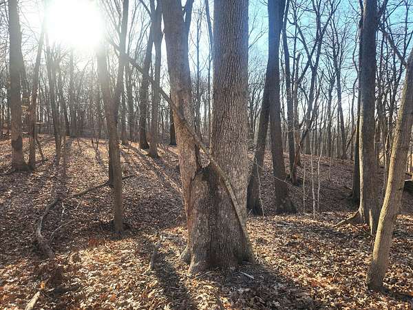 Land for Sale in Varna, Illinois