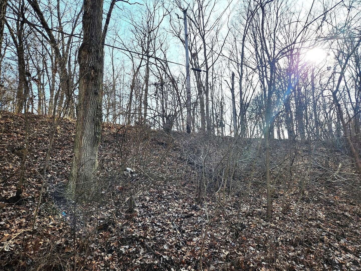 Land for Sale in Varna, Illinois