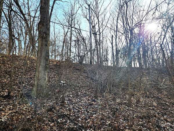 Land for Sale in Varna, Illinois