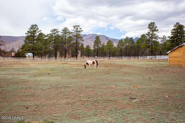 9.85 Acres of Land with Home for Sale in Flagstaff, Arizona