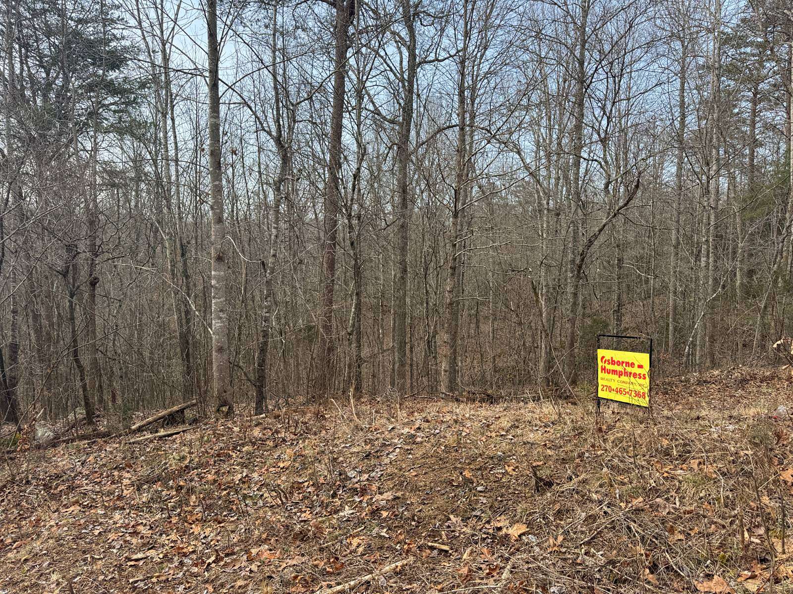 Land for Sale in Upton, Kentucky