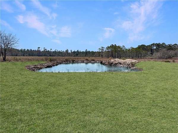 59.4 Acres of Recreational Land for Sale in Hortense, Georgia