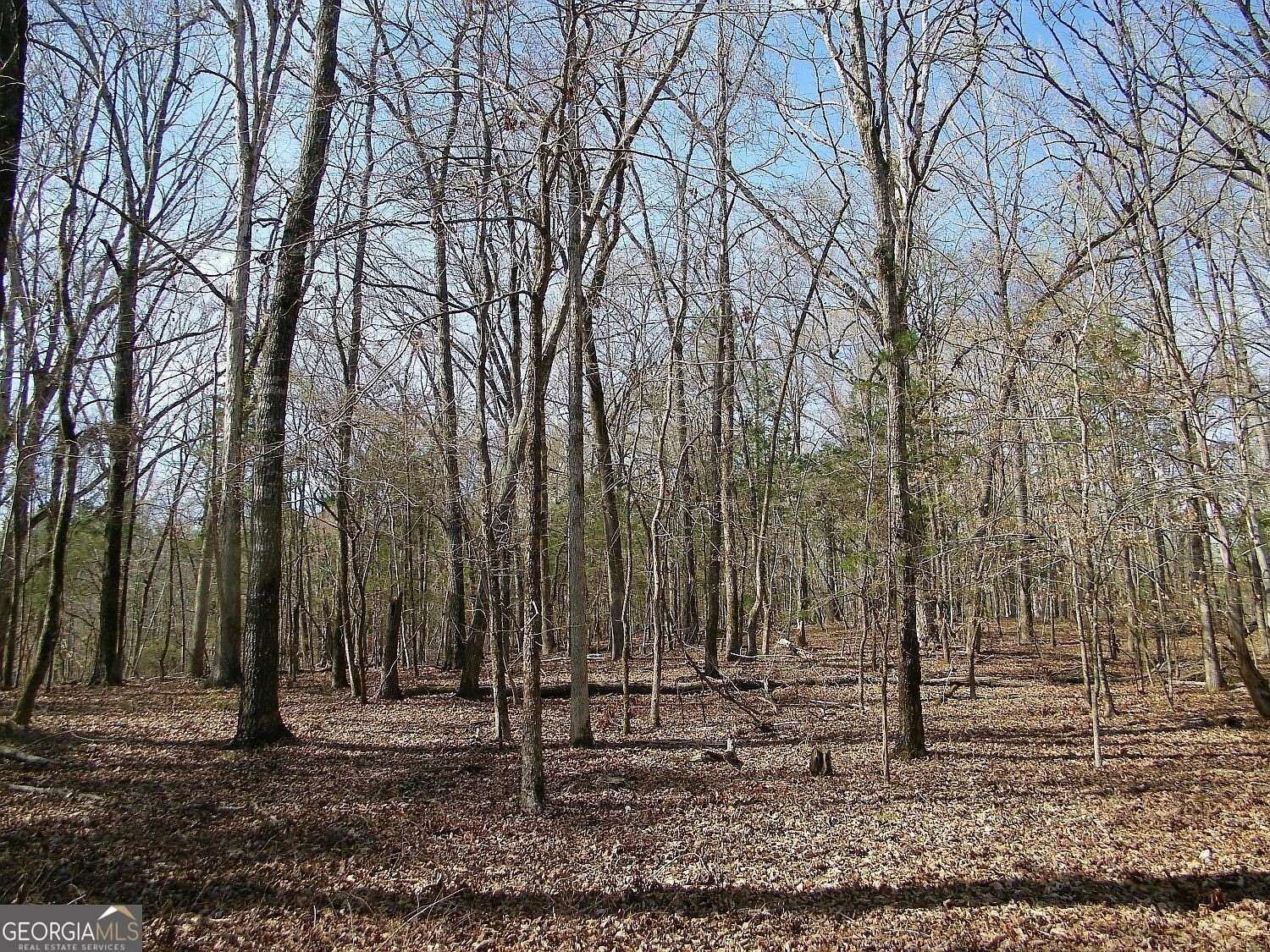 4.67 Acres of Land for Sale in Elberton, Georgia