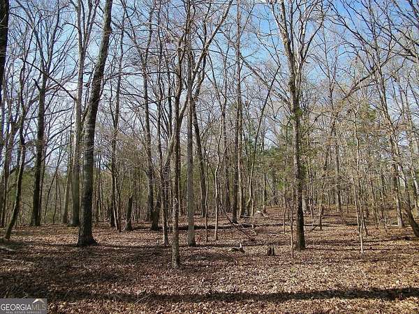 4.67 Acres of Land for Sale in Elberton, Georgia