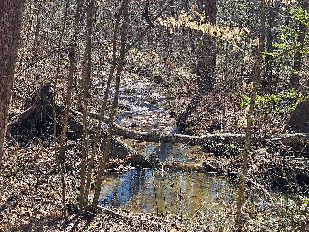 1.5 Acres of Land for Sale in Ellijay, Georgia