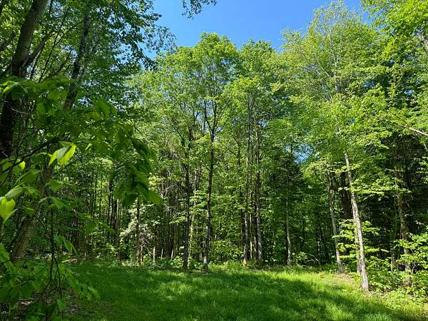 73 Acres of Recreational Land for Sale in Lewis Town, New York