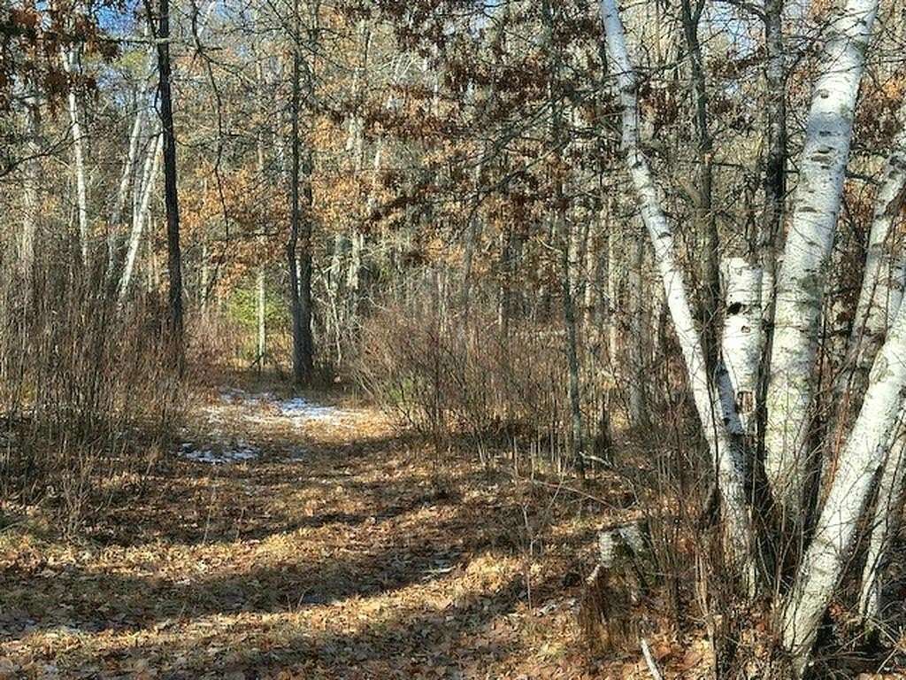 4.78 Acres of Residential Land for Sale in Nevis, Minnesota
