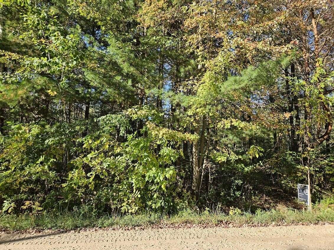 0.41 Acres of Residential Land for Sale in Beaverton, Michigan