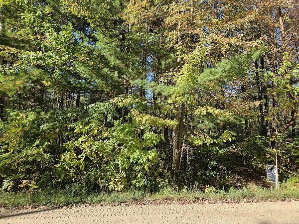 0.41 Acres of Residential Land for Sale in Beaverton, Michigan