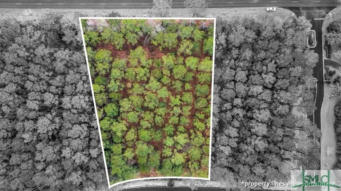 1.35 Acres of Residential Land for Sale in Townsend, Georgia