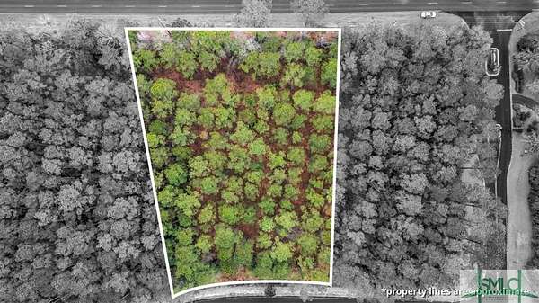 1.35 Acres of Residential Land for Sale in Townsend, Georgia