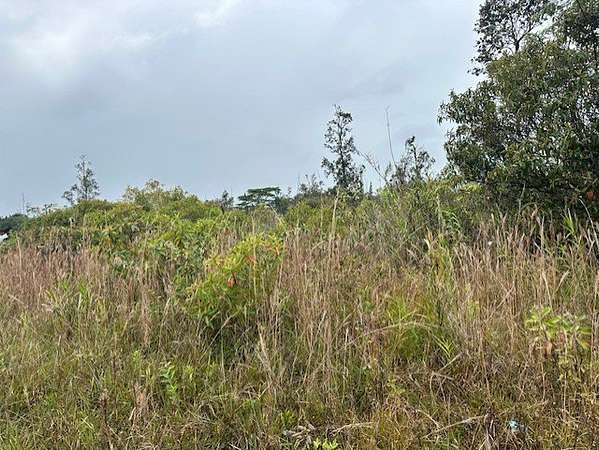 1 Acre of Residential Land for Sale in Keaau, Hawaii