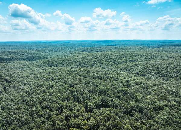 69.9 Acres of Recreational Land for Sale in Ellington, Missouri
