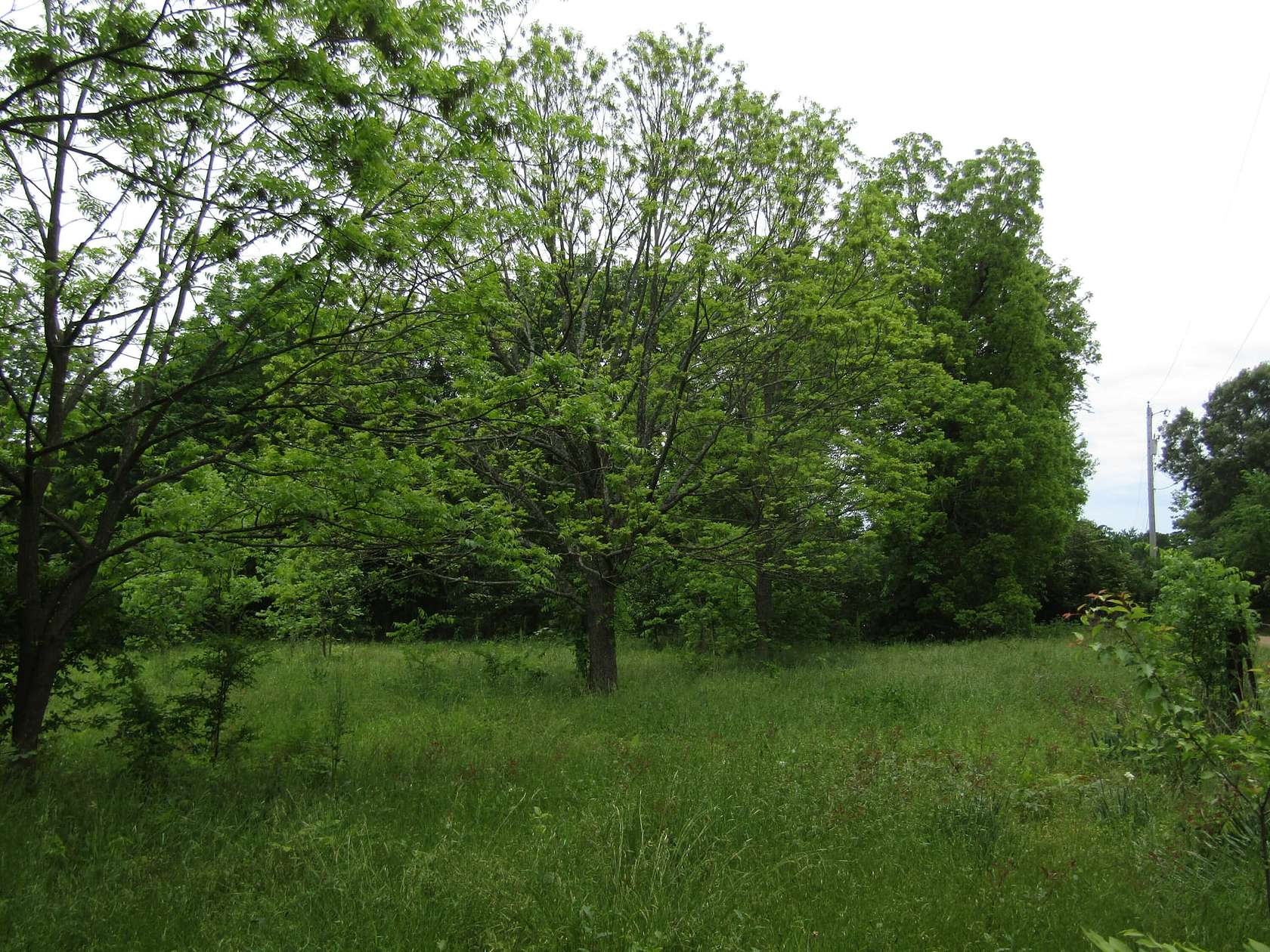 4.55 Acres of Land for Sale in Hugo, Oklahoma