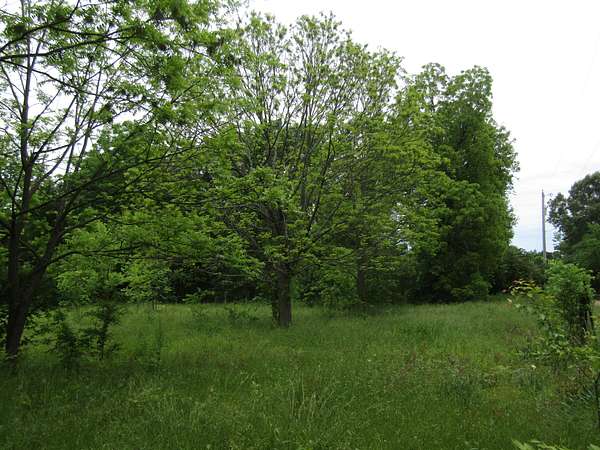 4.55 Acres of Land for Sale in Hugo, Oklahoma