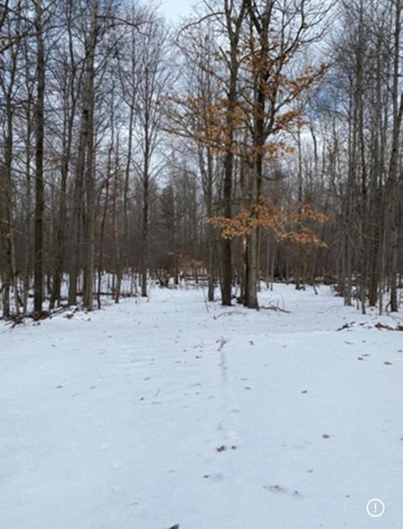 0.18 Acres of Residential Land for Sale in Benton Harbor, Michigan